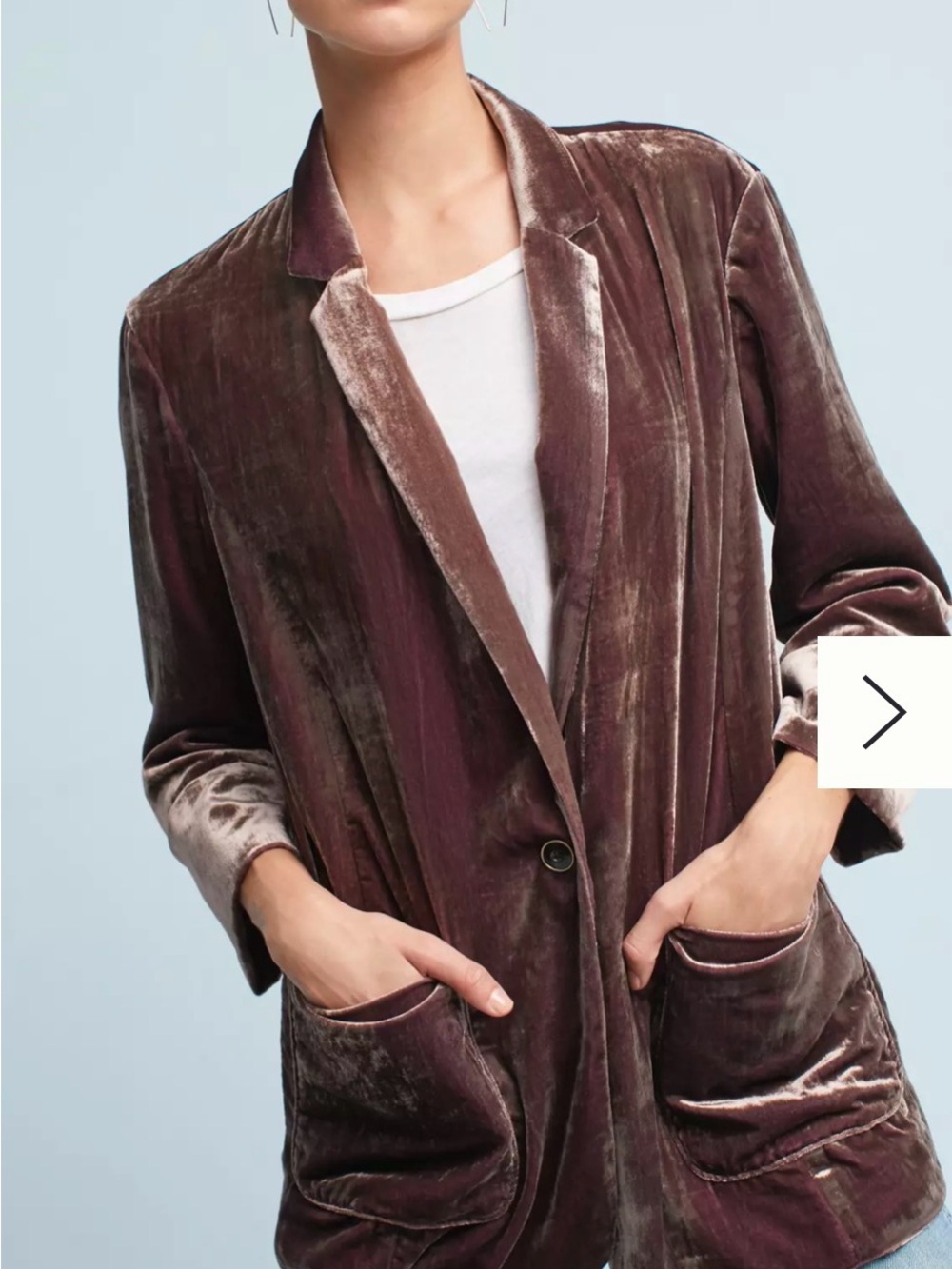 Anthropologie Iridescent Velvet Blazer